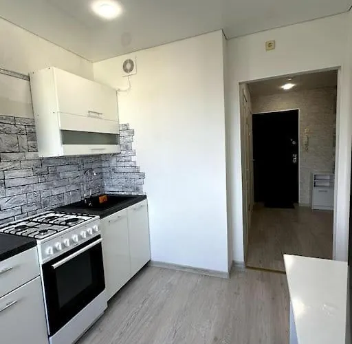 однокомнатная с новым ремонтом Korter Ahtme